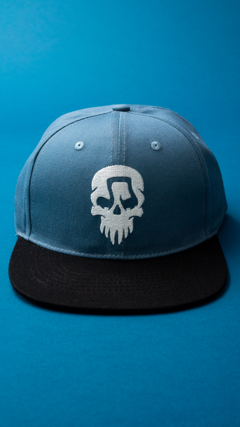 Gray JT Music Skull Hat